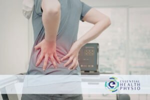 Chronic Lower Back Pain Exercises | Essential Health Physio Shailer Park