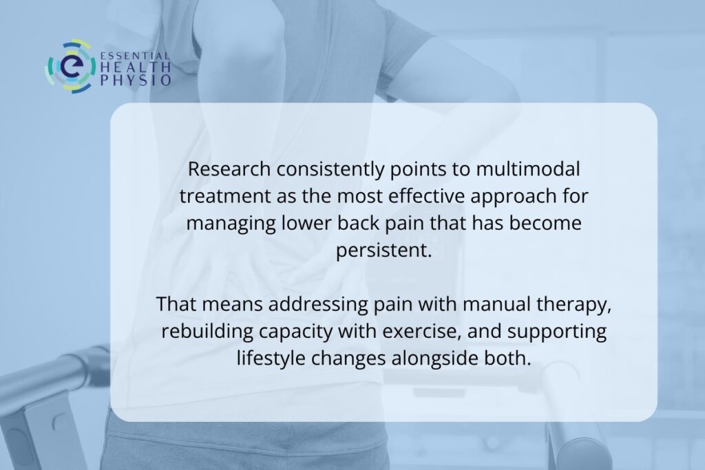 Persistent Lower Back Pain Treatment Shailer Park | Essential Health Physio